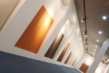 Panele okładzinowe o grubości 18 mm Panele architektoniczne z terakoty serii F18